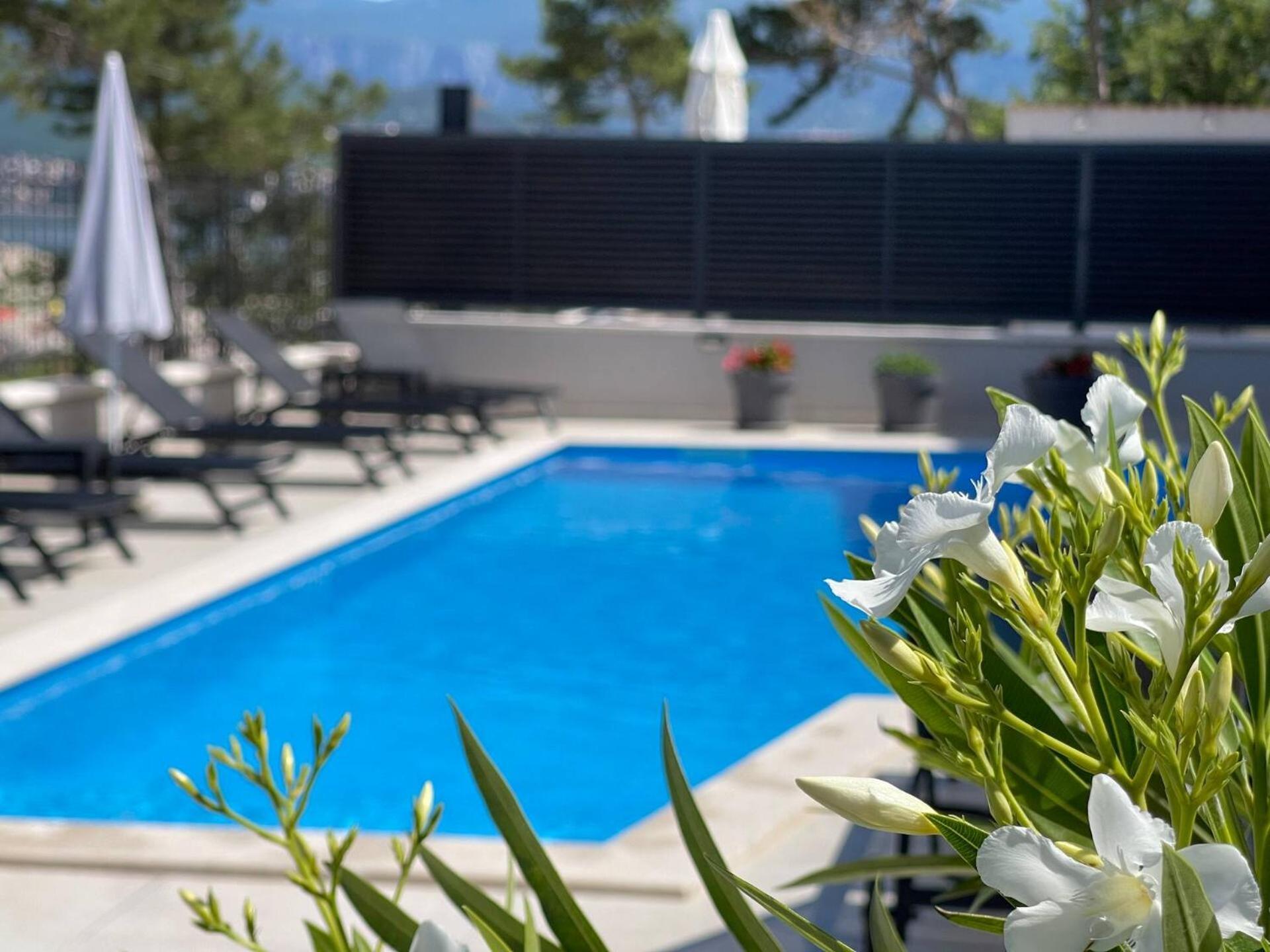 Villas Punta Silo - Luxury Apartments With Pool Exterior foto